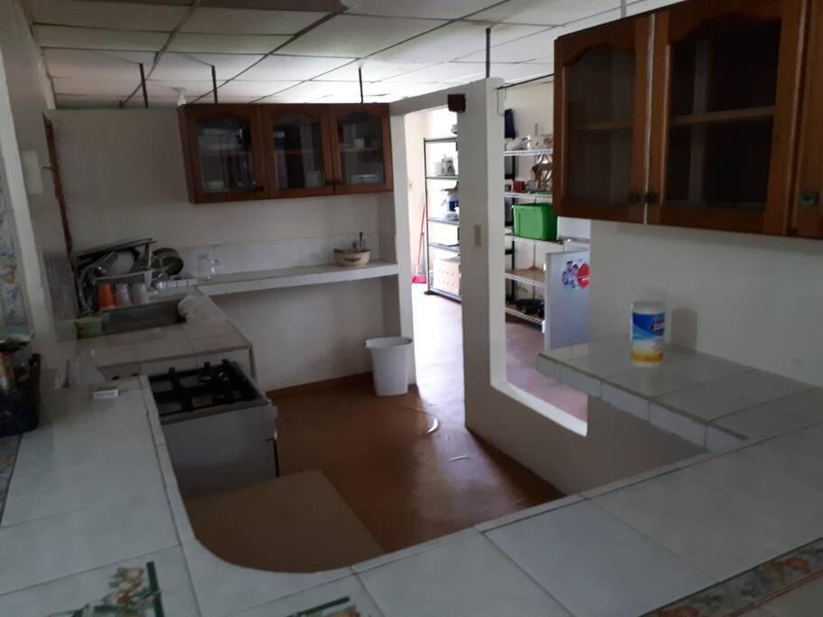 Gia'S Garage & Home For Bocas Travelers Almirante Exterior foto